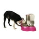 thumbnail image 2 of Dispensador Doble MascotasyAccesoriosMX Comedero y Bebedero Color Rojo, 2 of 3