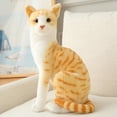 thumbnail image 1 of Flmtop Coussin en Peluche à Motif de Chats Simulés, Oreiller en Peluche Animal, Coussin, Déco de Sofa, Jouet pour Enfants, 1 of 8