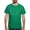 Kelly Green, variant on CafePress - Fibonacci Spiral T Shirt - Men's Classic Cotton T-Shirts