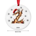 thumbnail image 3 of Fievgin Christmas Ornament 2026, Letter Z Initial Decoration with Santa Hat for Tree & Gift, 3 of 7