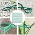 thumbnail image 4 of OFFIGAM 150Ud Garden Plants Fixing Buckle Para Sujetar Ramas Y Enredaderas En Jardín, 4 of 6