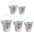 thumbnail image 1 of 5Pcs Decorative Flower Pots Multi-function Mini Buckets Household Galvanized Decors, 1 of 3