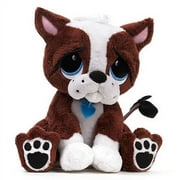 Rescue Pets Dog Assortment Brown White