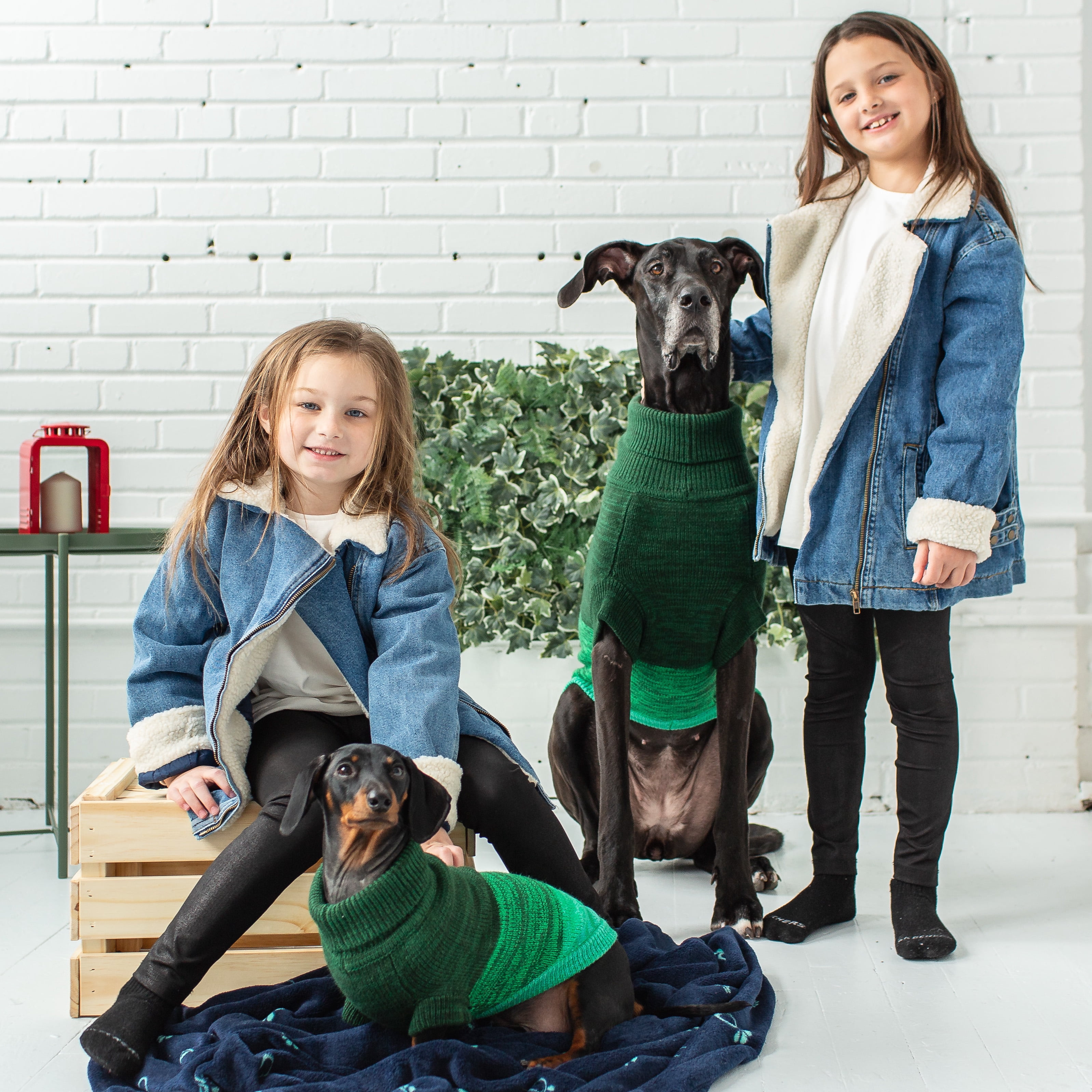GF PET Trail Dog Sweater Apparel for Small Medium Large Dogs Pets, Forest, XL