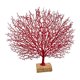 thumbnail image 4 of Resina Coral Escultura Adorno de Decoración Estatuilla de rojo, 4 of 7