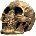 thumbnail image 2 of WHEANG Human Head Model For Home Decoration Halloween Statue Human Adult Head Bone Model, 2 of 5