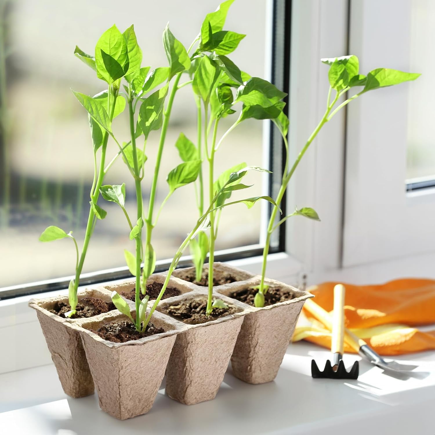 15 Packs Seedling Starter Trays 180 Cells, Biodegradable Seed Germination Trays Plant Starter Peat Pots for Seedlings