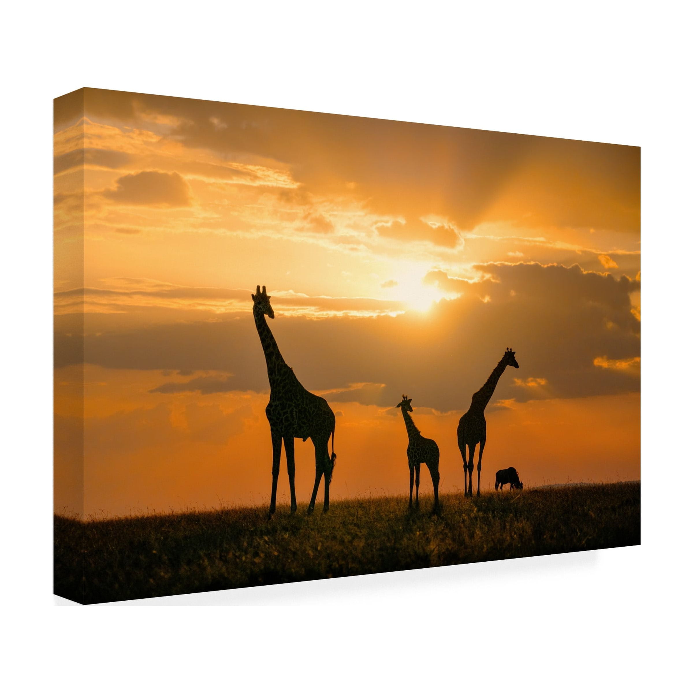 John Fan 'Golden Africa' Canvas Art