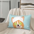 thumbnail image 5 of Picia Corgi With Towel Ans Slice Cucumber Pattern Plush Pillow Case – Soft and Cozy Cushion Cover, Hypoallergenic Throw Pillow Case for Home Decor-16"x24", 5 of 6