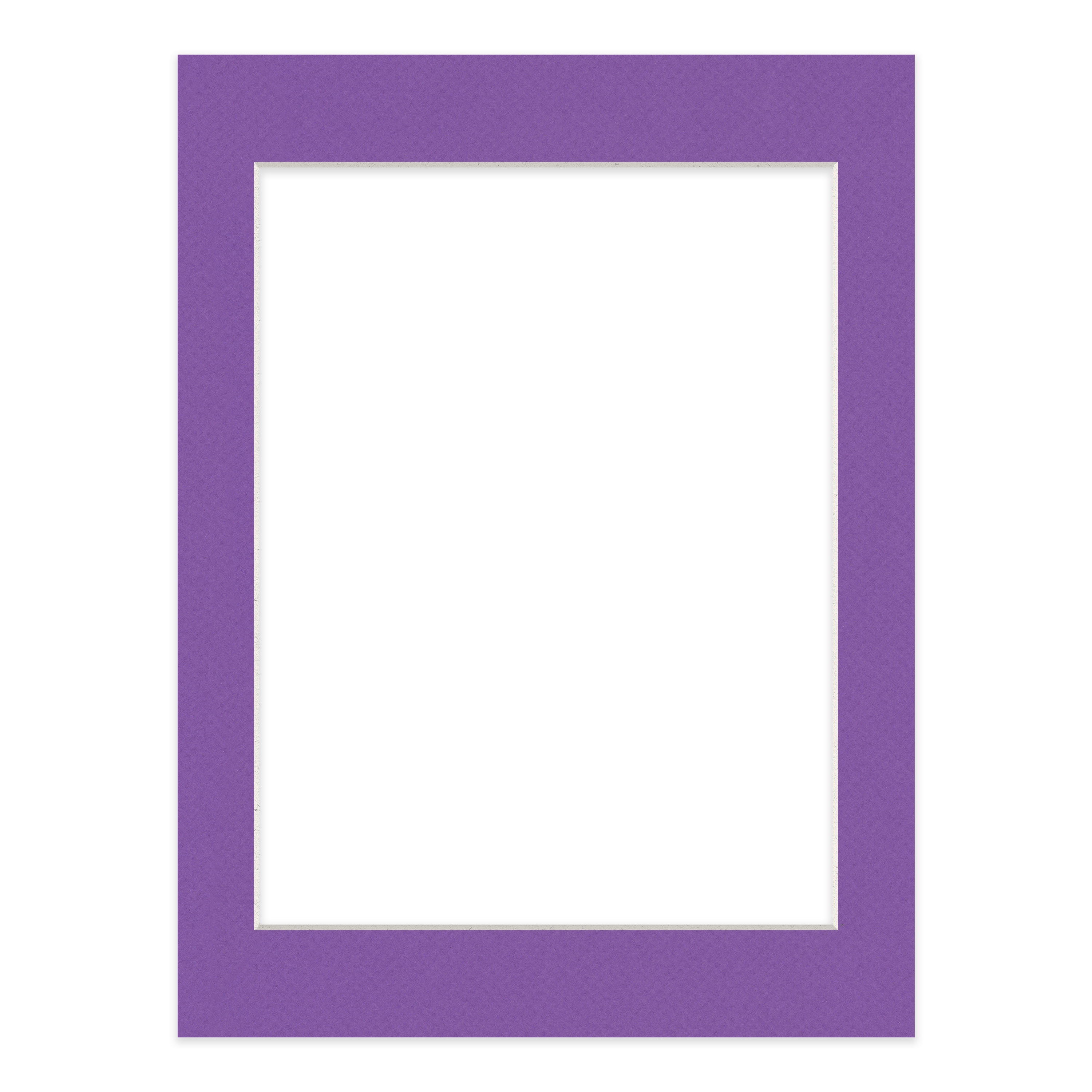 Purple Iris Picture Frame Mat for 22x28 Frames - Fits 18x24 Photos - 1 Mat