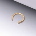 thumbnail image 2 of Pure24K Implant Grade Titanium Basic Nose Hoop Ring, 2 of 5