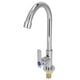 thumbnail image 1 of Grifo de Baño ANGGREK Grifo de Lavabo Frío Vertical para Tocador de Baño, 1 of 8
