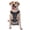 With Accessories, variant on Vsdgher Sailboat And Seagull Pattern Dog Harness,No Pull Pet Harness with Soft Padded Handle,Adjustable Reflective Vest with 2 Buckles,4 Slide Buckles,S-XL