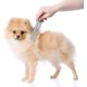 thumbnail image 5 of peigne Pour Animaux De Compagnie En Acier Inoxydable Peigne Pour Chiens Dents Rondes Pour Chiens Et Chats Aux Cheveux Emmls (19 X 3,5 Cm), 5 of 5