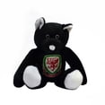 thumbnail image 1 of Wales Ourson Mini Officiel de Football, 1 of 2