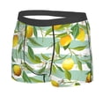 thumbnail image 2 of Haiem Lemon Men's Boxer Briefs, Every Day Comfort Stretch Cotton Moisture-Wicking Underwear-Large, 2 of 9