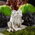 thumbnail image 5 of Frog Skeleton Model Halloween Animal Skeleton Statue Frog Ornaments, 5 of 5