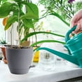 thumbnail image 4 of Self Watering Planters 3pcs Plant Pots With Drainage Holes &Pallet Modern Decorative Gardening Containers, 4 of 14