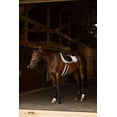 thumbnail image 6 of Henri de rivel Jamaika Pro Anatomical Fancy Raised Wide Flash Noseband Bridle with Raised laced reins-Australian Nut-Cob, 6 of 6