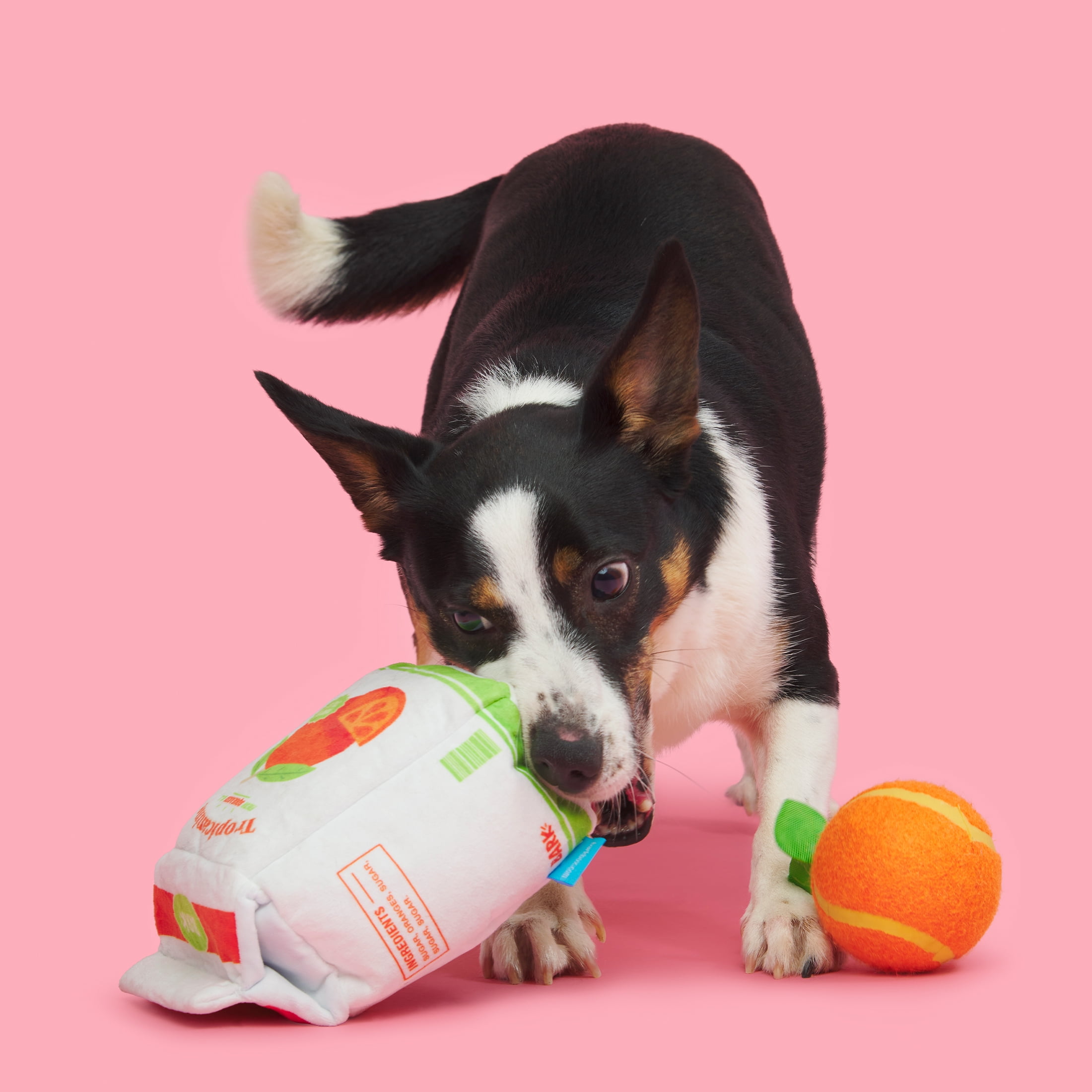 BARK Barkfest in Bed, 2-in-1 Plush Toy and Tennis Ball Combo, Orange