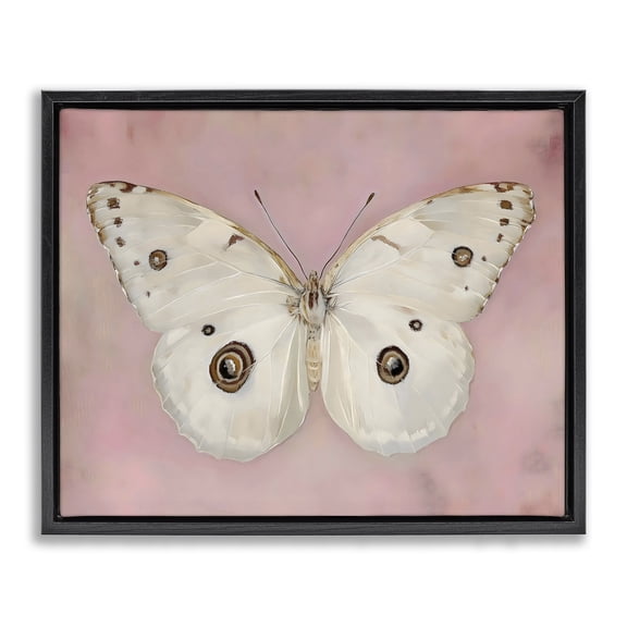 Stupell Industries Cottage Gossamer Butterfly on Blush Background Black Floating Frame Canvas Art, 21 x 17, by Arlington Prints