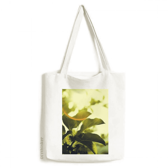 sunshine picture nature tote canvas bag shopping satchel casual handbag