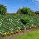 thumbnail image 3 of Privacidad Artificial Valla De Planta Verde Telón De Fondo De Pared De Planta Para Decoración De Jardín De Balcón Speravity HA040319-02, 3 of 6