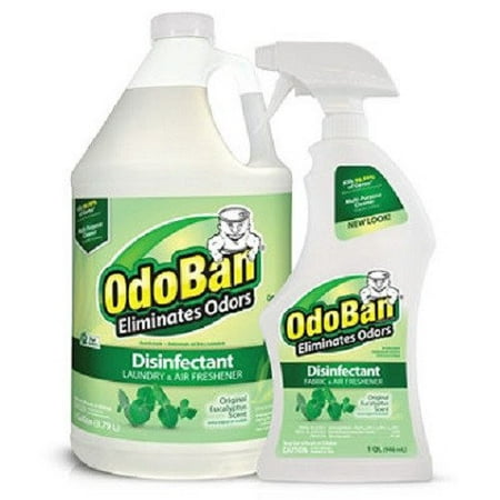 OdoBan Odor Disinfectant, Eucalyptus (1 Gallon Concentrate / 32 oz. (Best Disinfectant For Granite Countertops)