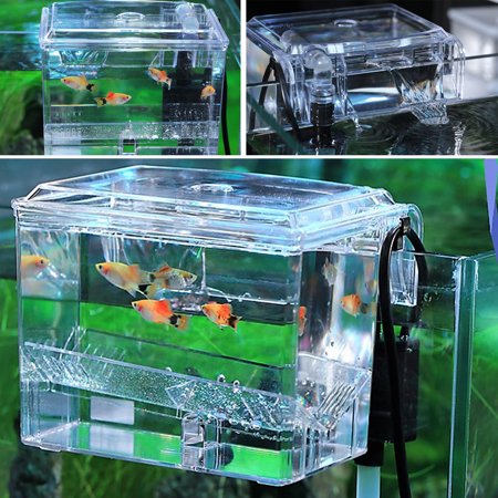 Aquarium Tank External Hang On Breeder Fish Breeding For Hatchery