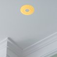 thumbnail image 1 of SKISUNO Ceiling Covers Decorative Material Resistant to Deformation and Fading 1Pack, 1 of 6