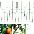 thumbnail image 1 of Jaulas de soporte para plantas Anothera ajustables para tomates, 90 cm, paquete de 4, 1 of 6