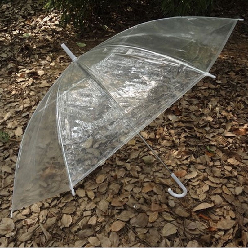 transparent rain umbrella