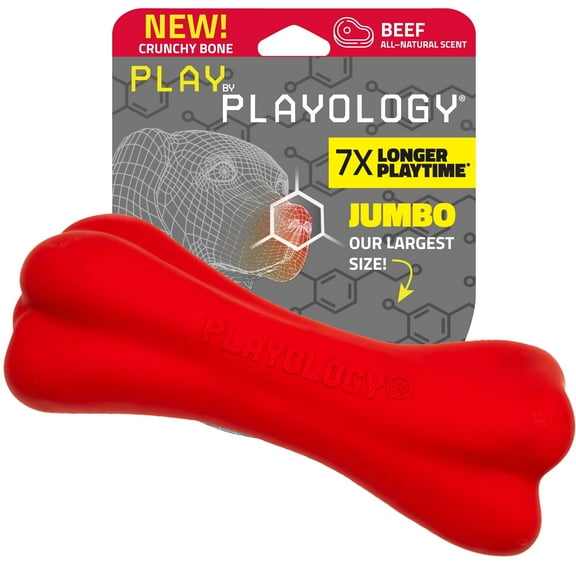 Play by Playology Dog Toys | Interactive Dog Toy Bone | Scented Crunchy Bone, Large