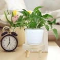 thumbnail image 3 of MEIBUTYUP Wooden Plant Riser in Beige with Smooth Edges, Ideal for Home Decor and Storage Display, 3 of 6