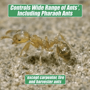 Rockwell Labs InTice Indoor Ant Bait & Killer Gel, 4 fl oz