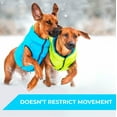 thumbnail image 4 of AiryVest Lightweight Reversible Winter Dog Coat - Warm Dog Jacket - Water Resistant Windproof - Insulated Dog Apparel for Small, Medium & Large Dogs - Comfortable Dog Puffer Vest - Black/Light Green, 4 of 50
