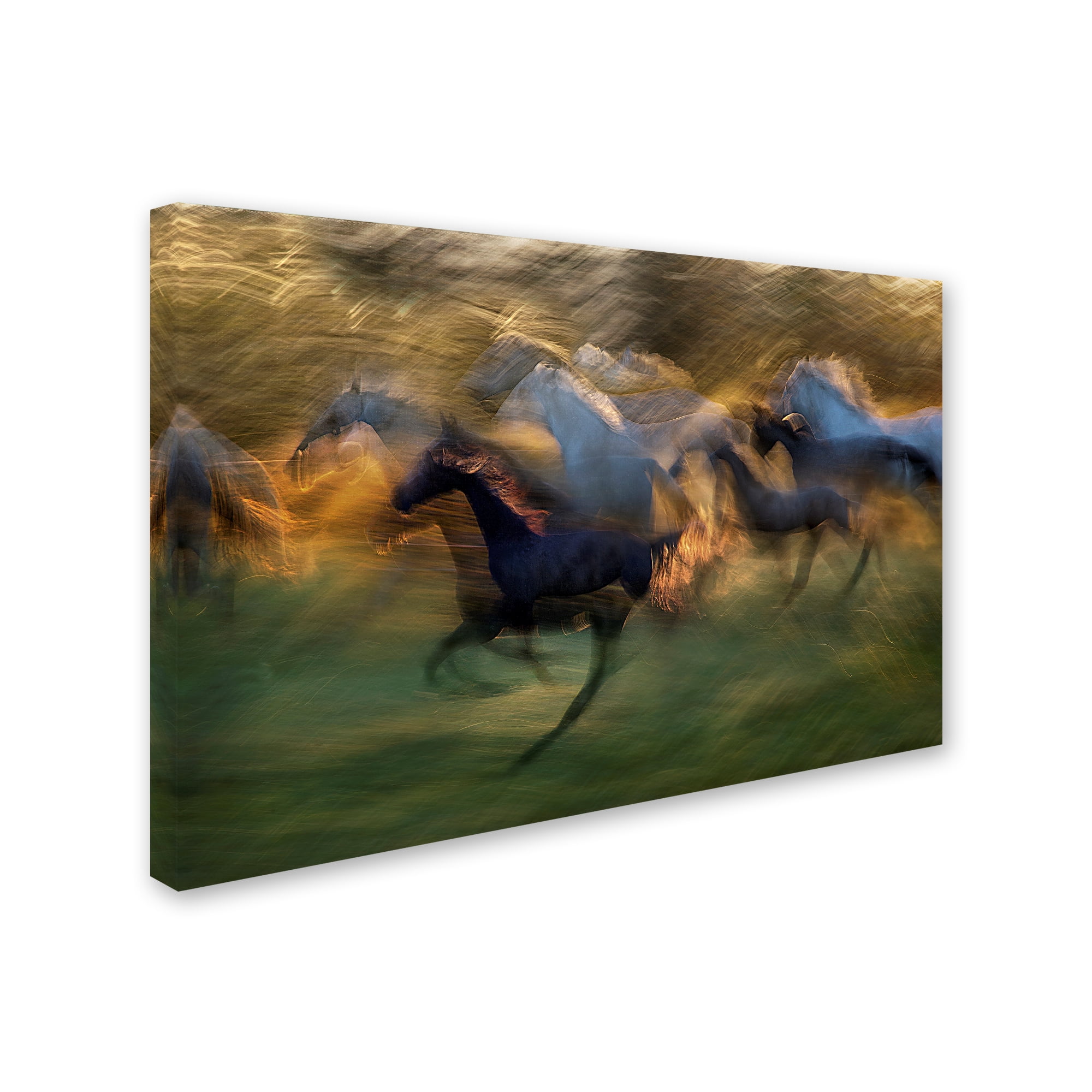 Milan Malovrh 'Fiery Gallop' Canvas Art