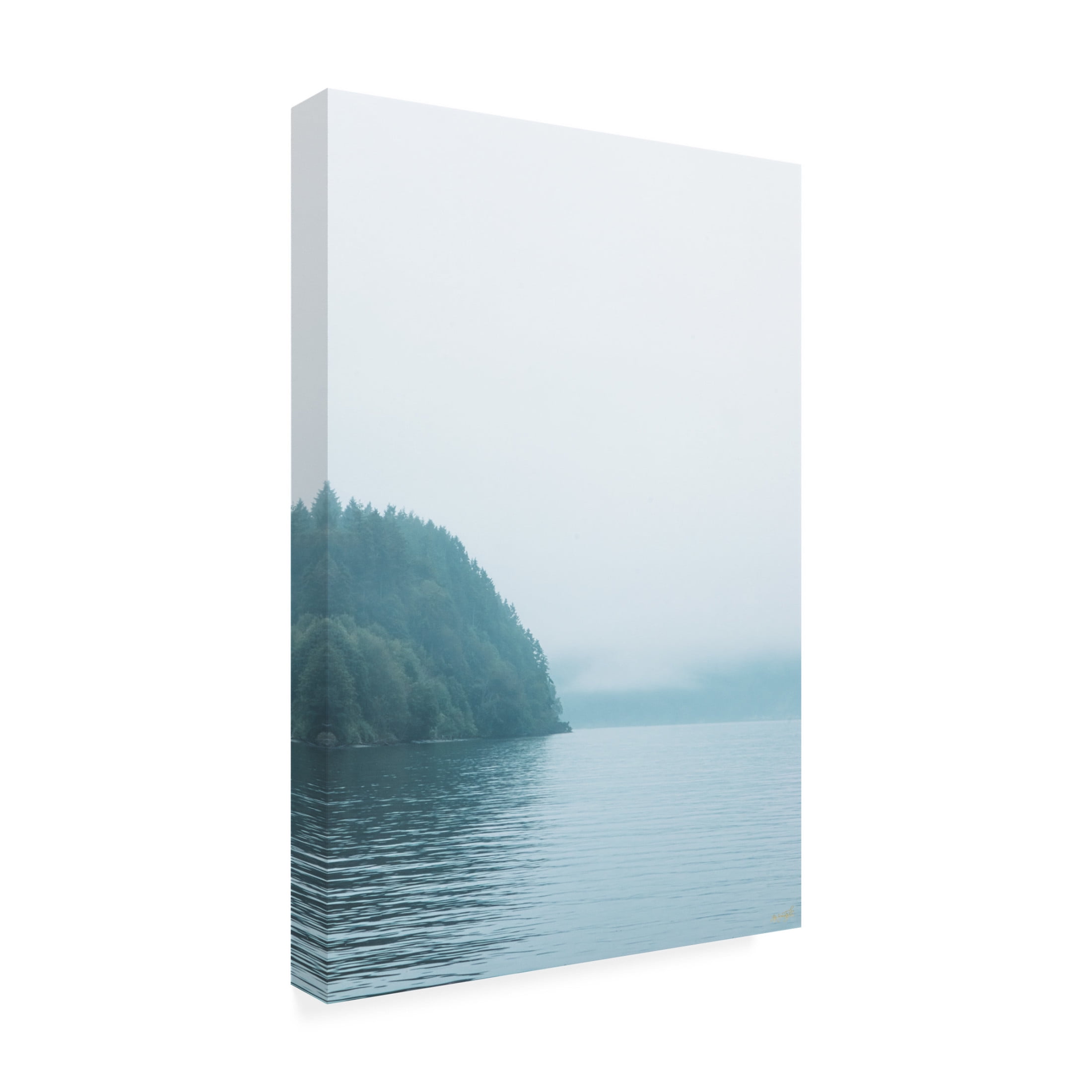 Canvas Wall Art - Life BeautifuLEE 'Puget Woods' Wall Art for Living Room, Bedroom, or Office Décor by Trademark Fine Art - 22 x 32 Inches