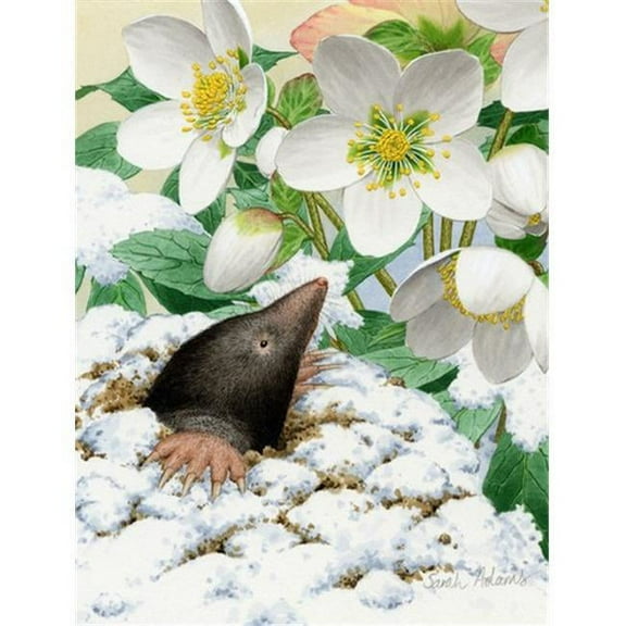 Mole Flag Garden Size