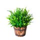 thumbnail image 4 of IDEANATEGRATE 5Ud Planta Verde Falsa Fácil De Limpiar Para De Y Ventana, 4 of 6