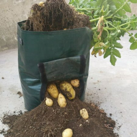 Potato Grow Planter PE Container Bag Pouch Root Plant Growing