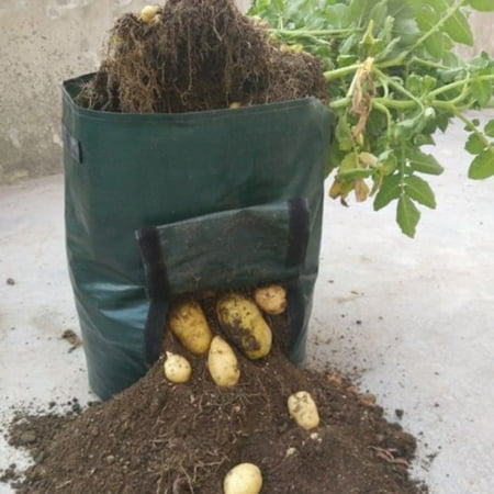 Tuscom Potato Grow Planter PE Container Bag Pouch Root Plant Growing Pot Side (Best Way To Plant Potatoes)