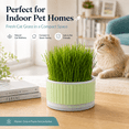thumbnail image 6 of Cat Grass for Indoor Cats 4.7x2.2 Inch Plastic Cat Grass Planter Hydroponic Pot Lightweight Round Cat Grass Box for Growing Products, 6 of 8