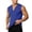 Blue, variant on Workout Tank Tops for Men Summer Casual Breathable V Neck Sleeveless Muscle T Shirts Athletic Gym Tanks