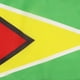 thumbnail image 3 of Bandera de Guyana AZ FLAG 30x45 cm Poliéster, 3 of 3