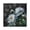Black Pointer, variant on 7.78in Square Artistic Wall Clock Dual-Purpose Tabletop & Hanging Decor Silent Non-Ticking Clocks for Home Office White Peony Flower