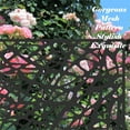 thumbnail image 3 of Royard Oaktree 4' x 6' Decorative Fence, Metal Privacy Screen Panels, Indoor & Outdoor Freestanding Privacy Screen, Decorative Room Divider for Patio, Garden, Backyard, Balcony, Mesh Shape, 3 of 6