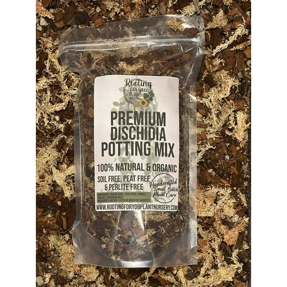 DISCHIDIA Premium Potting Mix