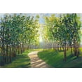 thumbnail image 2 of OToole, Tim 32x23 White Modern Wood Framed Museum Art Print Titled - Walking Trail I, 2 of 4