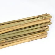 Ecostake 6 Bamboo Garden Support Stakes with Eco-Friendly Natural Material (150 Pack)